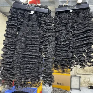 Alternative view of BURMESE CURL