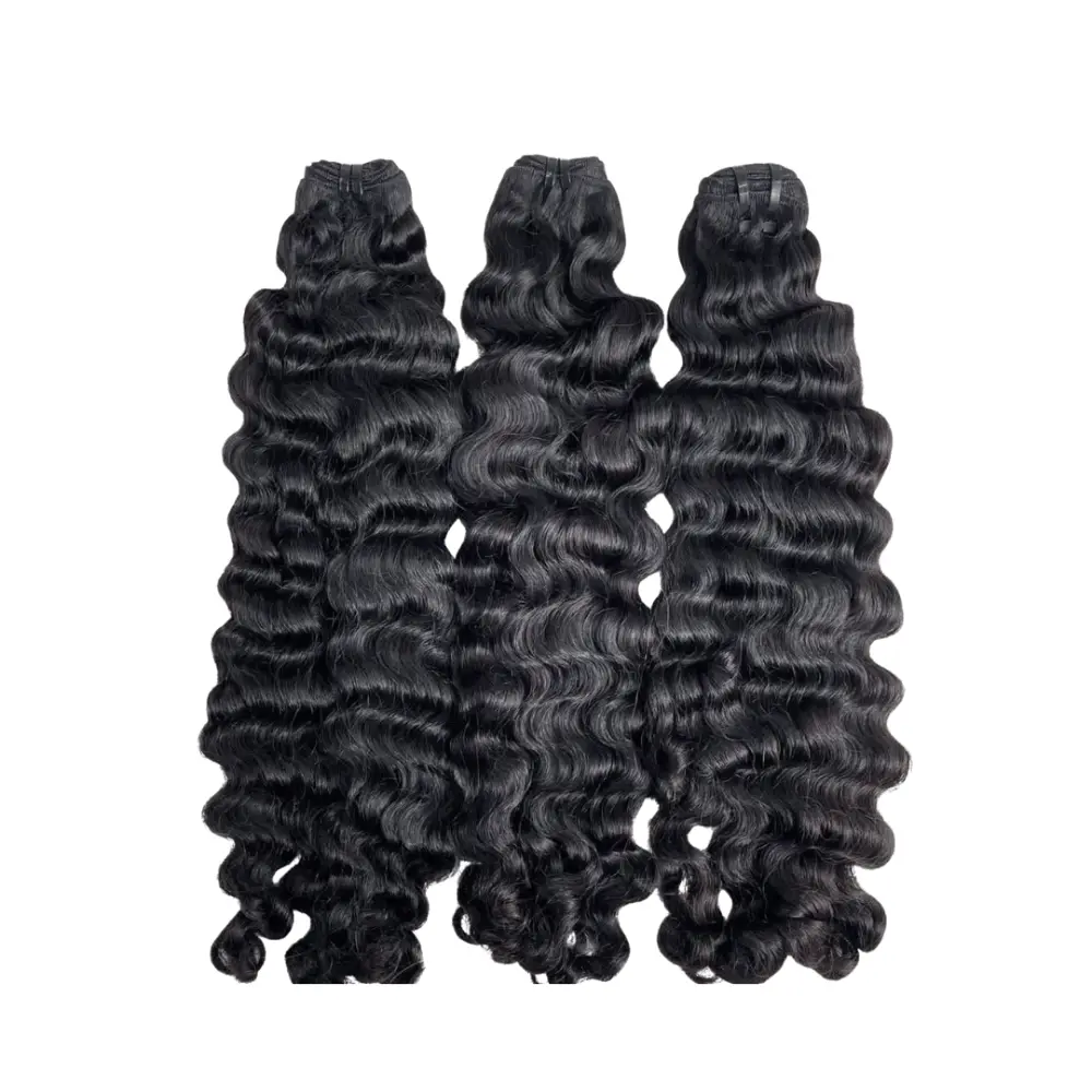 BURMESE CURL